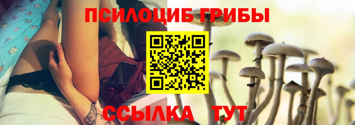Галлюциногенные грибы мицелий Сальск